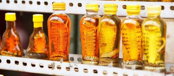 Bình ngâm rắn và bọ cạp trên quầy hàng ở Việt Nam - Sputnik Việt Nam