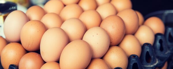 Trứng - Sputnik Việt Nam