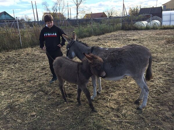 Con trai của Tatiana Babushkina , Ilya  - Sputnik Việt Nam