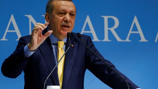 Tayyip Erdogan - Sputnik Việt Nam