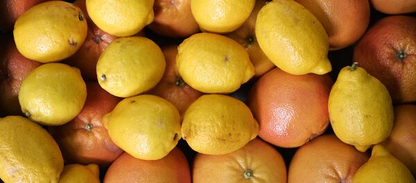 Syria bắt đầu xuất khẩu cam chanh vụ thu hoặc năm nay sang Nga - Sputnik Việt Nam