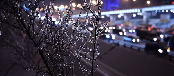 Снегопад в Москве - Sputnik Việt Nam