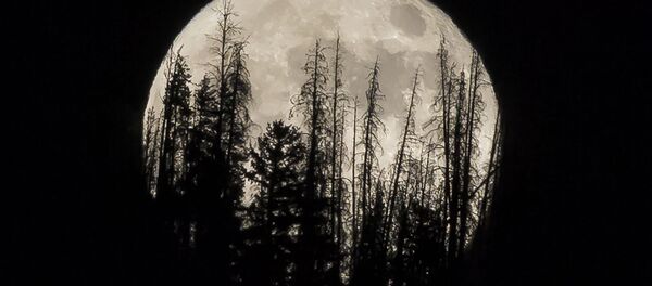 Siêu  trăng trên toàn thế giới - Sputnik Việt Nam