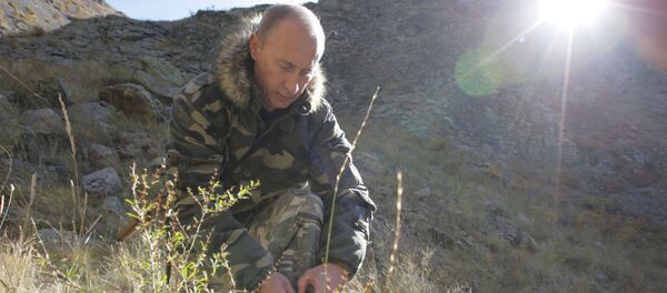 Tổng thống Nga Vladimir Putin trong bộ quân phục ngụy trang. - Sputnik Việt Nam