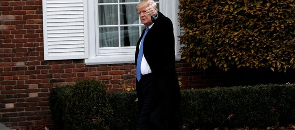 Donald Trump - Sputnik Việt Nam