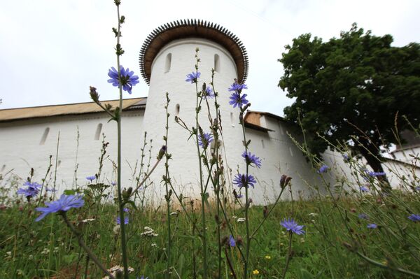 Tu viện nam Pafnouty-Borovsky Tu viện nam Pafnouty-Borovsky - Sputnik Việt Nam