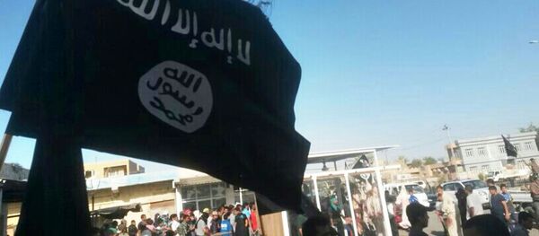 IS - Sputnik Việt Nam