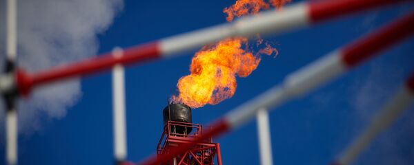 A view of the gas torch. (File) - Sputnik Việt Nam