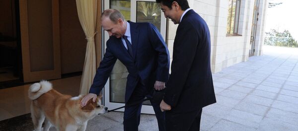 Vladimir Putin, Shinzo Abe, Akita-Inu - Sputnik Việt Nam