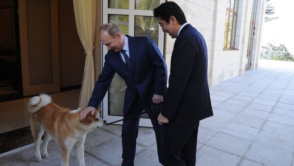 Vladimir Putin, Shinzo Abe, Akita-Inu - Sputnik Việt Nam