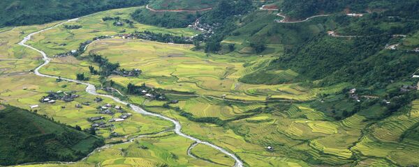 Những đồng lúa ở Việt Nam Những đồng lúa ở Việt Nam - Sputnik Việt Nam