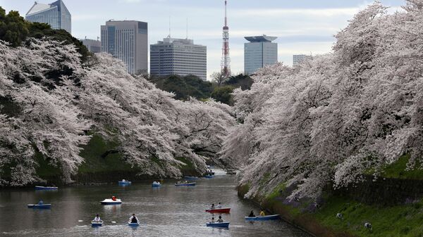 Tokyo - Sputnik Việt Nam