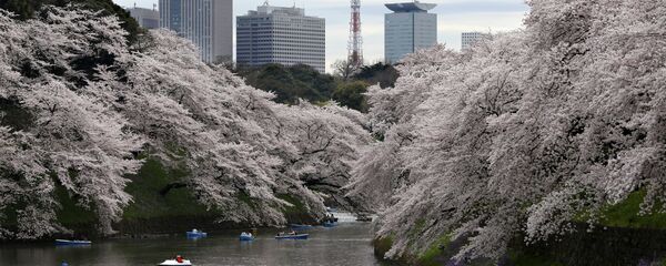 Tokyo - Sputnik Việt Nam