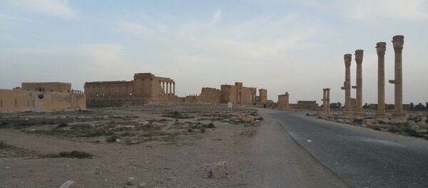 Quân đội Syria chặn cuộc tấn công của chiến binh IS ở gần Palmyra Quân đội Syria chặn cuộc tấn công của chiến binh IS ở gần Palmyra - Sputnik Việt Nam