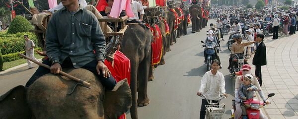 Con voi tại cuộc diễu hành ở trung tâm Ban Mê Thuột - Sputnik Việt Nam