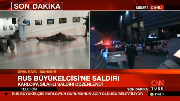 Đại sứ Nga tại Ankara bị tấn công - Sputnik Việt Nam