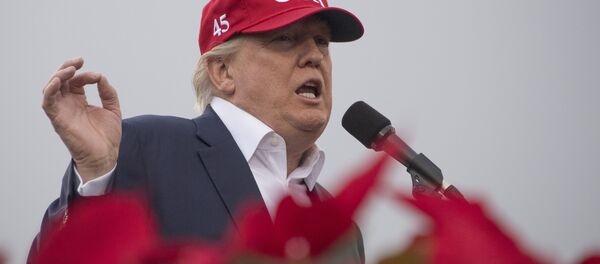 Donald Trump Donald Trump - Sputnik Việt Nam