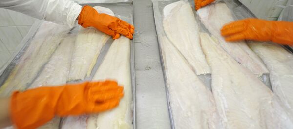 Cá - Sputnik Việt Nam