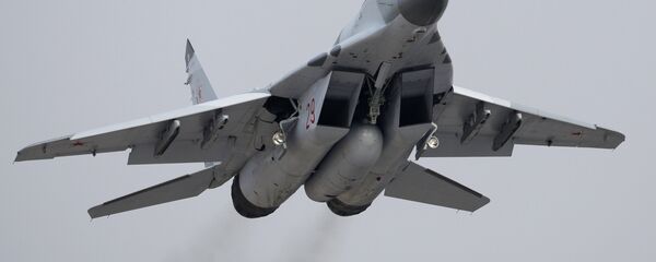 MiG-29 - Sputnik Việt Nam