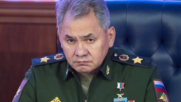 Sergei Shoigu - Sputnik Việt Nam