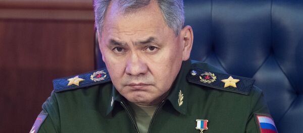 Sergei Shoigu - Sputnik Việt Nam