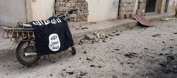 IS - Sputnik Việt Nam