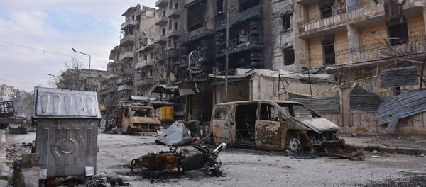 Aleppo Aleppo - Sputnik Việt Nam