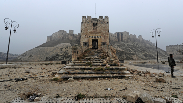 Aleppo - Sputnik Việt Nam