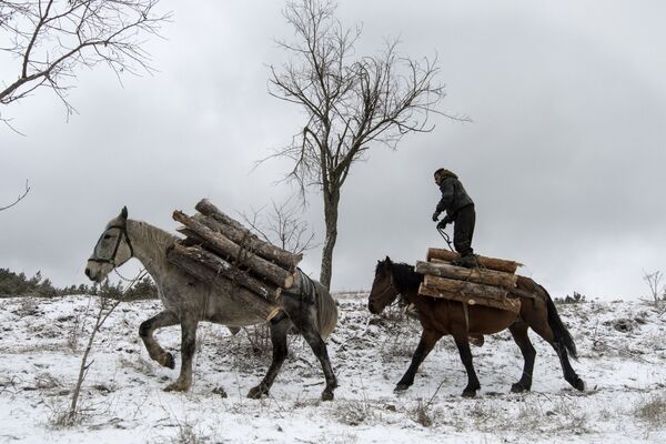 Bulgaria. Để mang gỗ về đôi khi thuận tiện hơn nếu sử dụng phương tiện giao thông cổ xưa. - Sputnik Việt Nam