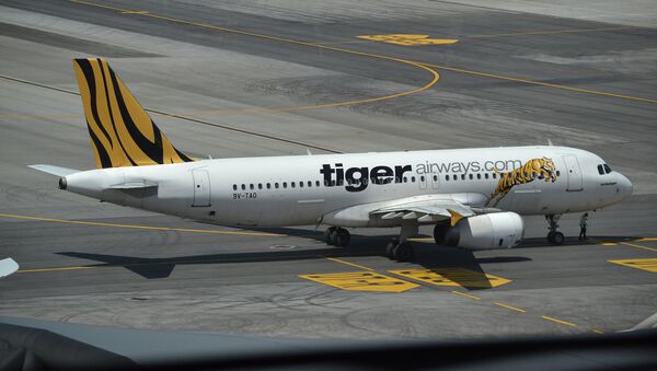 TigerAir - Sputnik Việt Nam