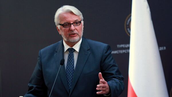 Witold Waszczykowski - Sputnik Việt Nam