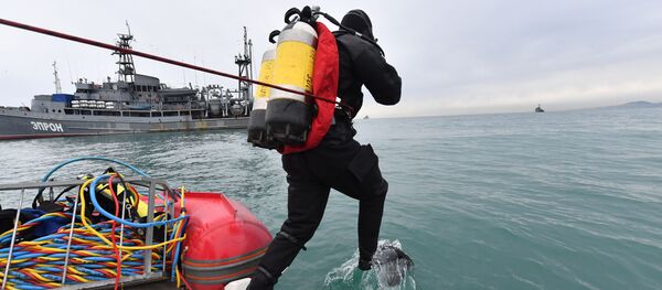 Công việc tìm kiếm và cứu hộ vụ tai nạn máy bay Tu-154 của Bộ Quốc phòng ngoài khơi vùng Biển Đen - Sputnik Việt Nam