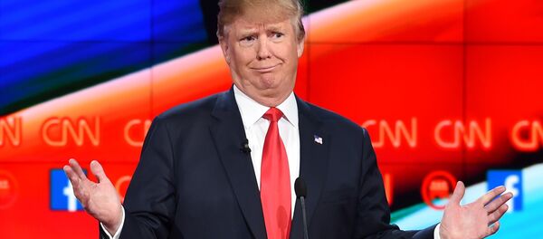 Tổng thống Mỹ đắc cử Donald Trump - Sputnik Việt Nam