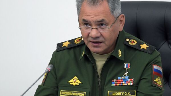 Bộ trưởng Quốc phòng Nga Sergei Shoigu - Sputnik Việt Nam