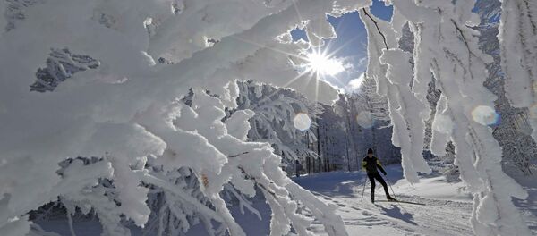 Strasbourg, Pháp, ngày 16 tháng 1 năm 2017 Strasbourg, Pháp, ngày 16 tháng 1 năm 2017 - Sputnik Việt Nam
