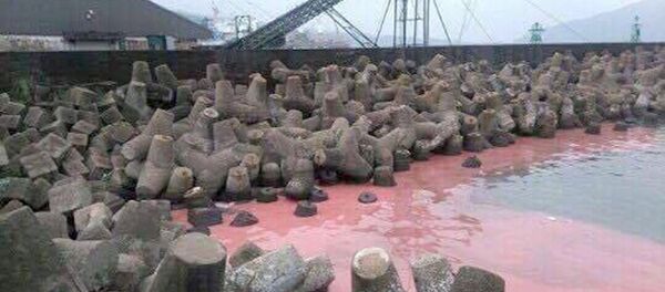 Vệt nước màu hồng dạt vào kè chắn sóng ở cảng Vũng Áng được người dân chụp lại - Sputnik Việt Nam