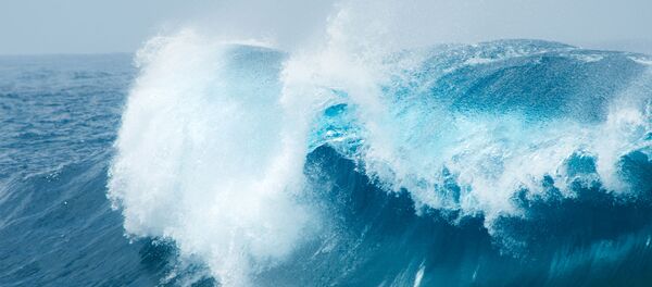 đại dương - Sputnik Việt Nam