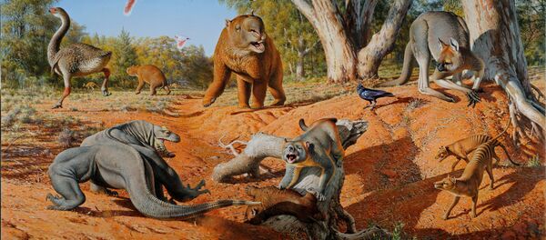 động vật khổng lồ của Úc động vật khổng lồ của Úc - Sputnik Việt Nam