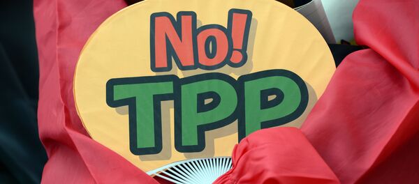 A demonstrator holds a fan with No! TPP in a protest against the Trans Pacific Partnership (TPP) trade deal at a sit-in demonstration in front of the parliament building in Tokyo - Sputnik Việt Nam