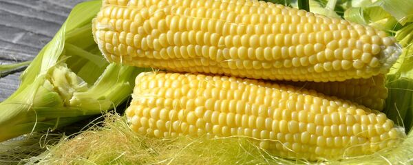 Ngô Ngô - Sputnik Việt Nam