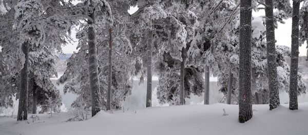 Mùa đông ở xứ sở Siberia - Sputnik Việt Nam