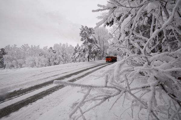 Mùa đông ở xứ sở Siberia - Sputnik Việt Nam