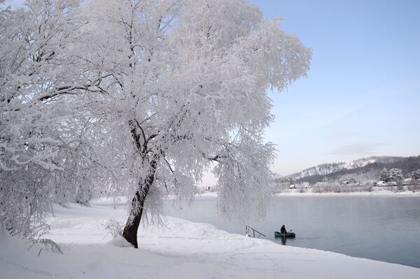 Mùa đông ở xứ sở Siberia - Sputnik Việt Nam