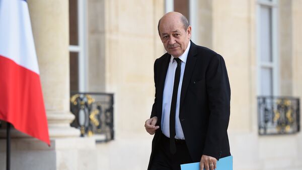 Jean-Yves Le Drian - Sputnik Việt Nam