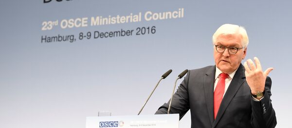 Frank-Walter Steinmeier Frank-Walter Steinmeier - Sputnik Việt Nam