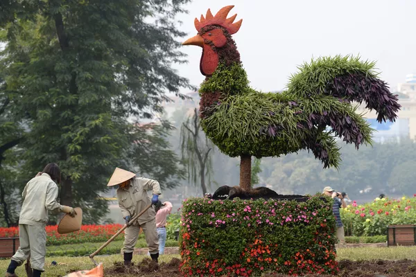 Các công viên Hà Nội chuẩn bị chào mừng xuân mới Các công viên Hà Nội chuẩn bị chào mừng xuân mới - Sputnik Việt Nam