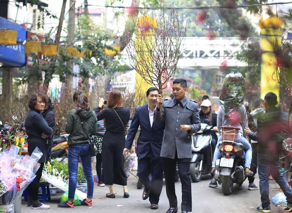 Hà Nội. Trước Tết người dân Việt Nam mua hoa đào mừng xuân mới Hà Nội. Trước Tết người dân Việt Nam mua hoa đào mừng xuân mới - Sputnik Việt Nam