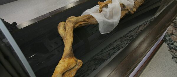 Công chúa Altai Công chúa Altai - Sputnik Việt Nam