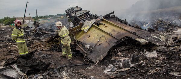     thảm họa MH17 - Sputnik Việt Nam