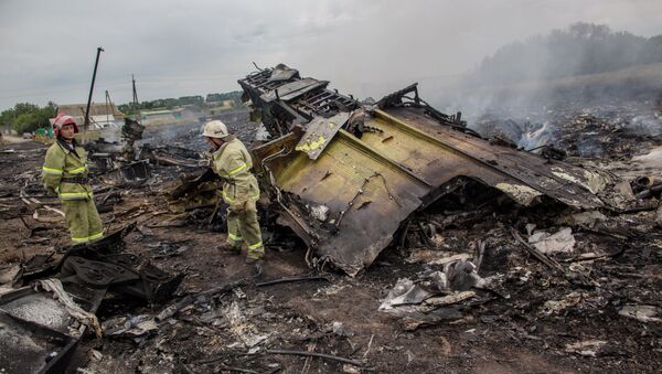 thảm họa MH17 - Sputnik Việt Nam